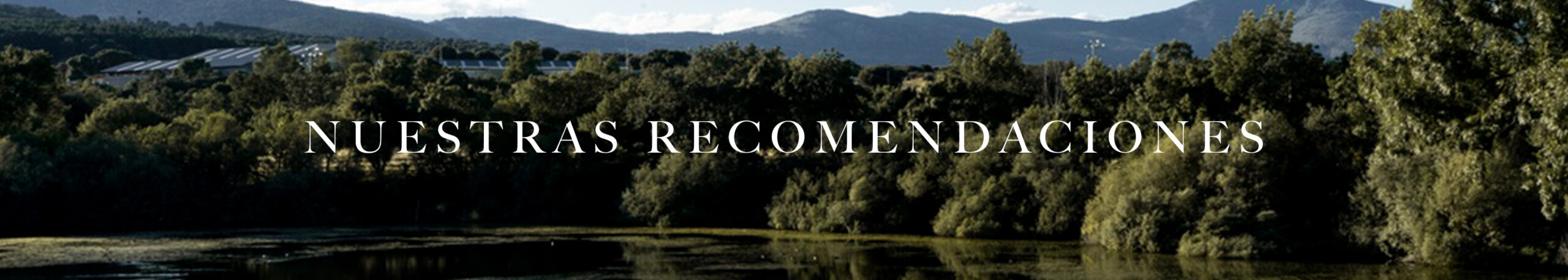 nuestras recomendaciones